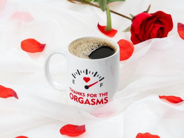 Thanks For The Orgasms Mugg