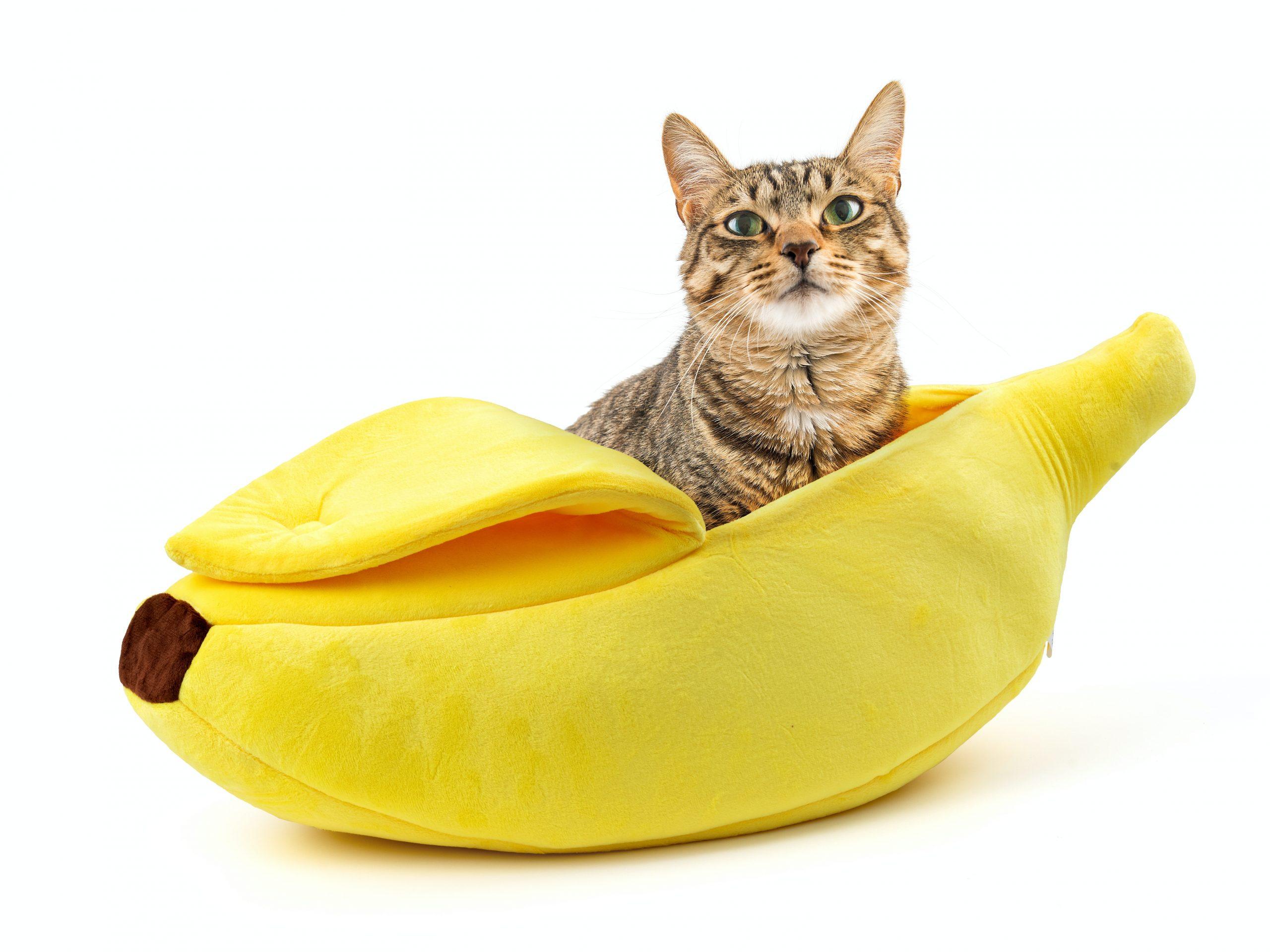 Spralla Banan Kattbädd Spralla Banan Kattbädd